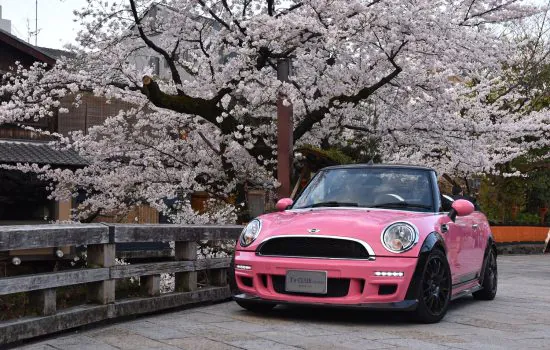 MINI R58 COOPER Convertible 　in 祇園